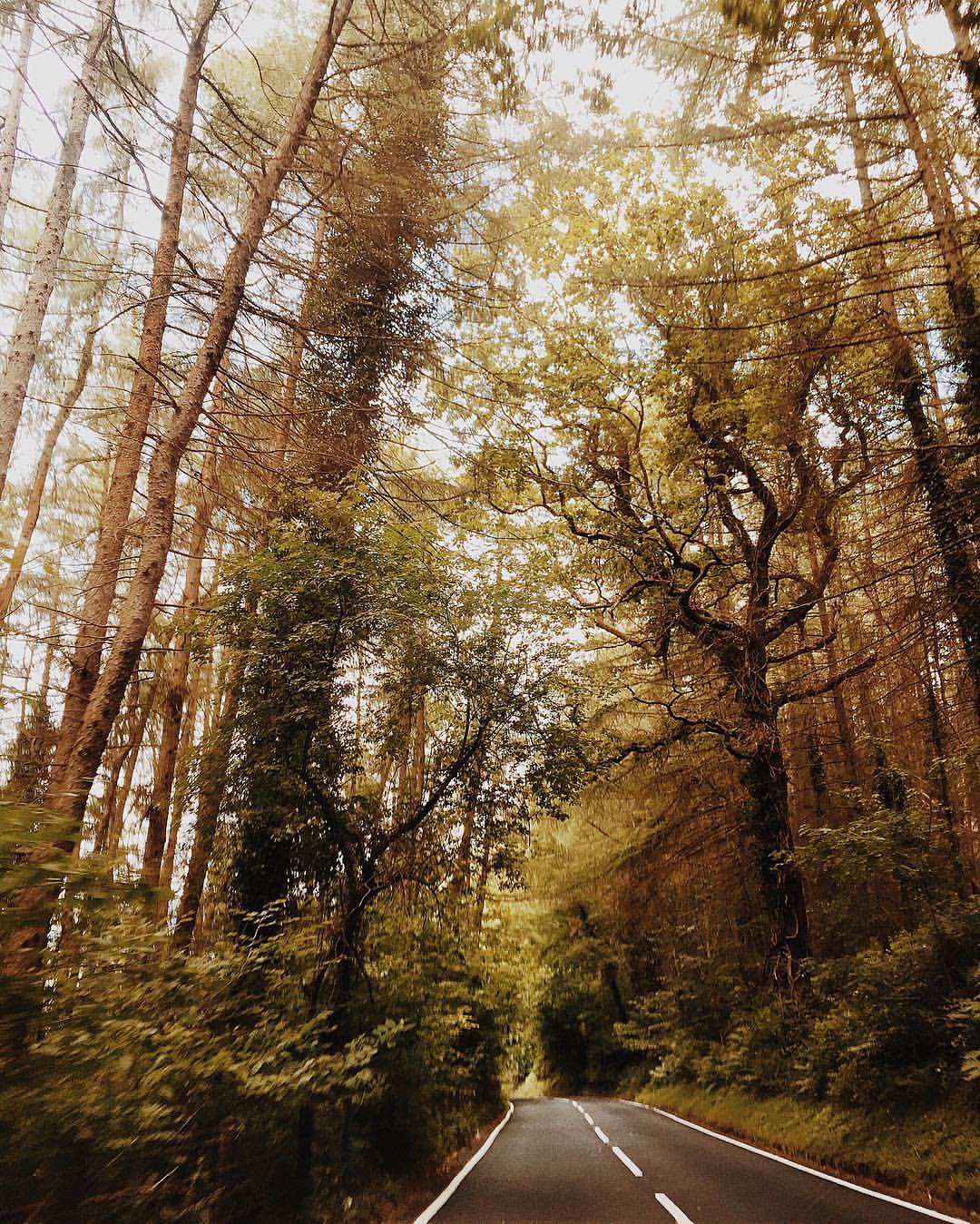 13738172_10207862878183969_5207727694397136021_o