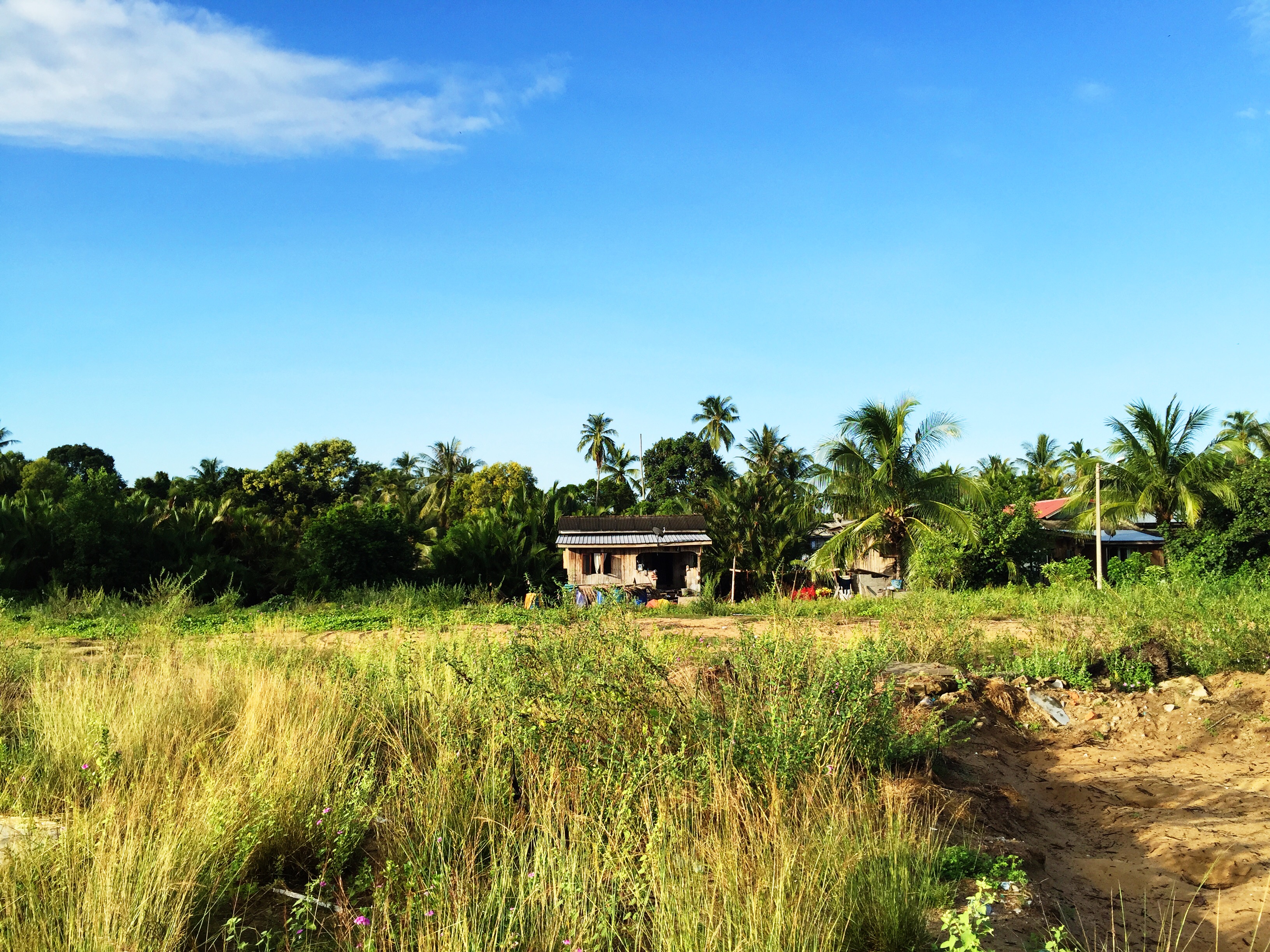 Processed with VSCOcam with s3 preset