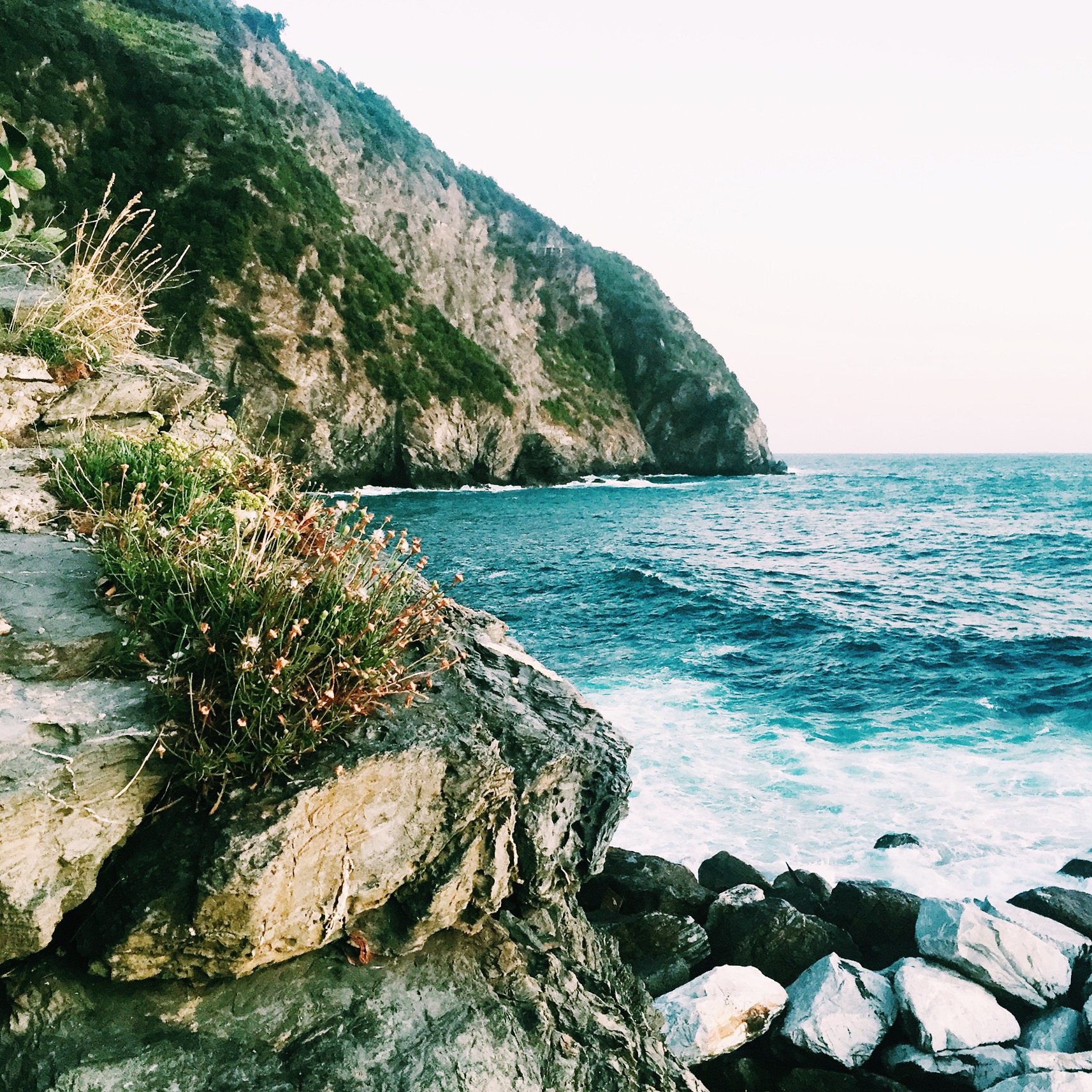 Processed with VSCOcam with c1 preset