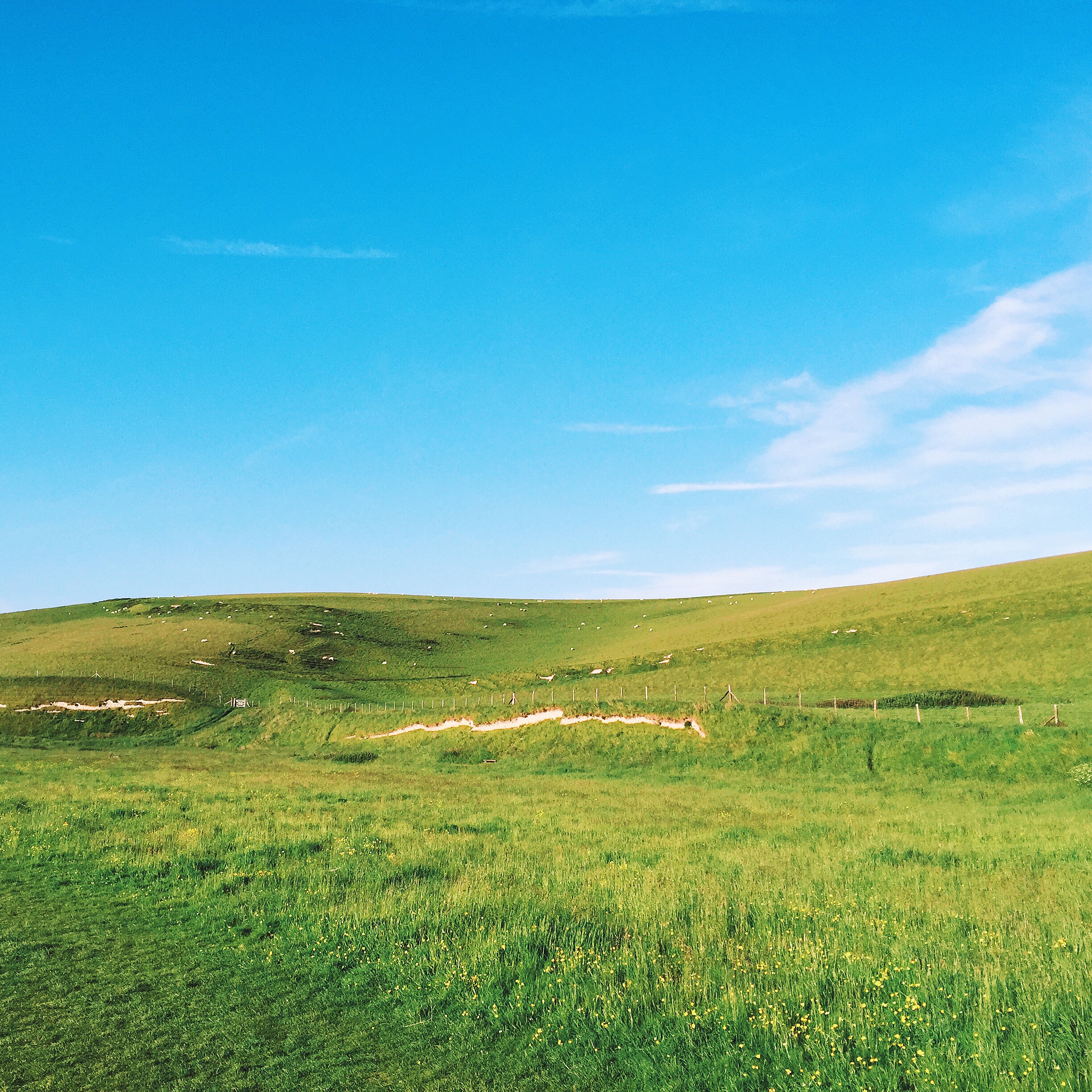 Processed with VSCOcam with k2 preset