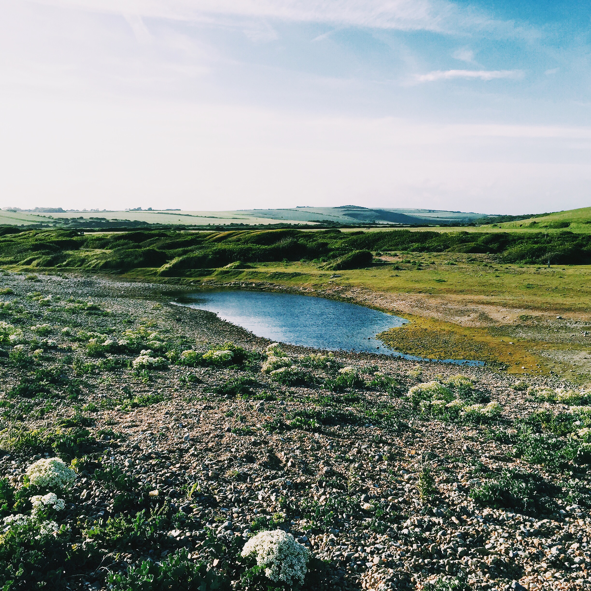 Processed with VSCOcam with c1 preset