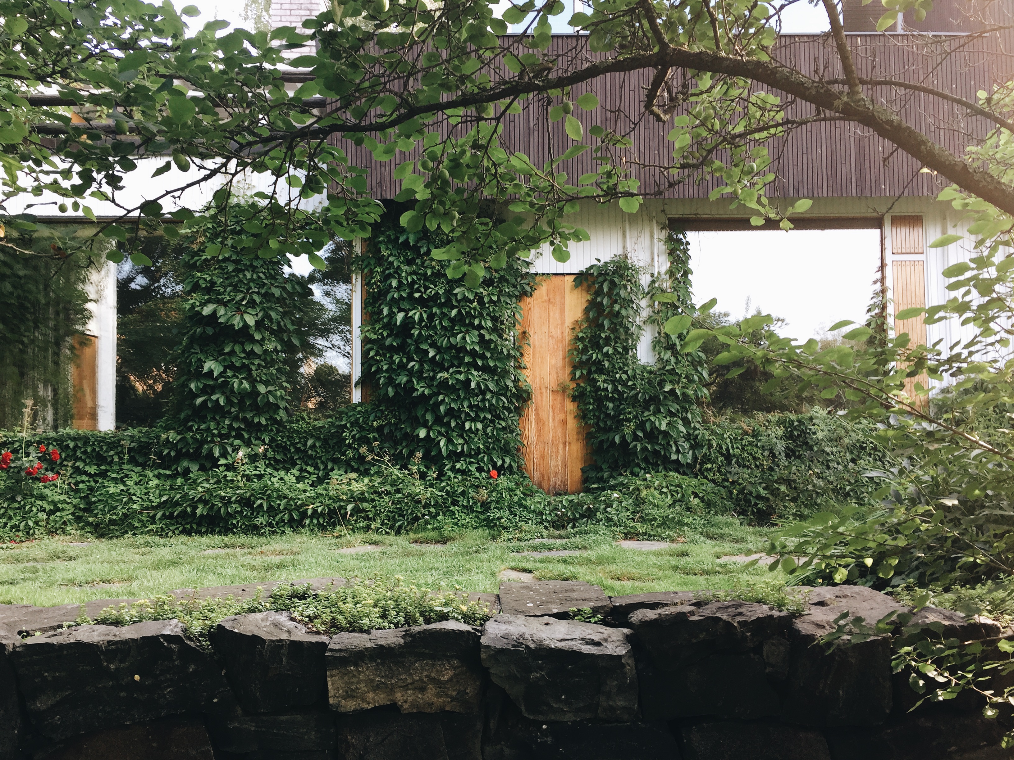 Processed with VSCO with a6 preset