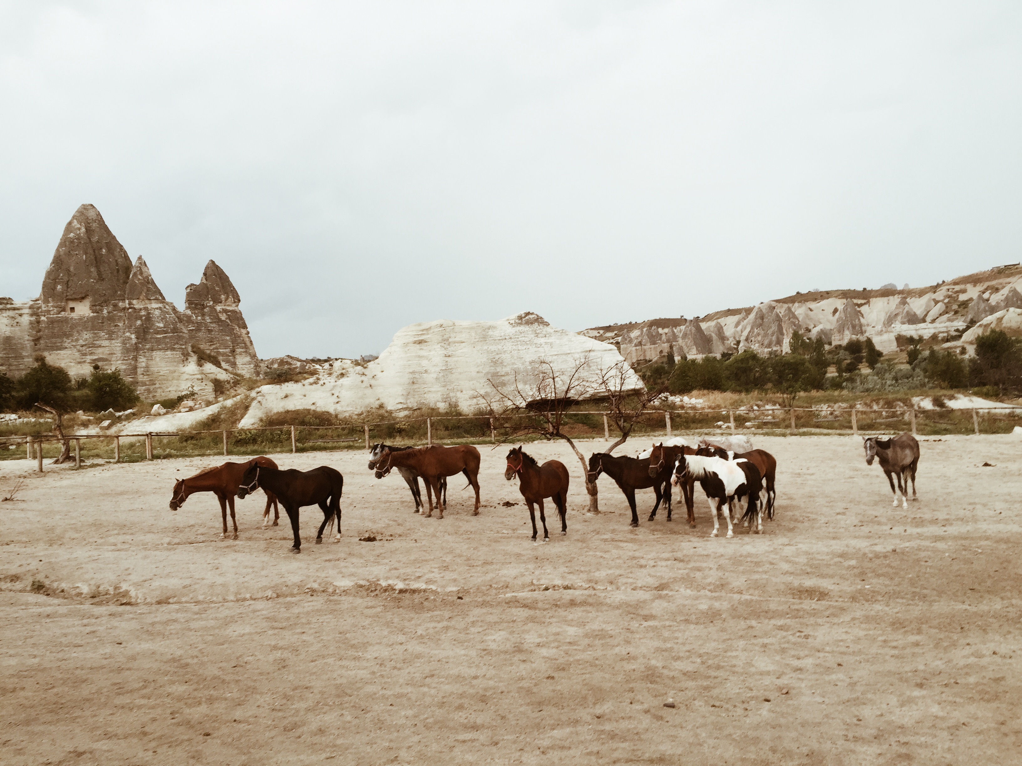 Processed with VSCOcam with a4 preset