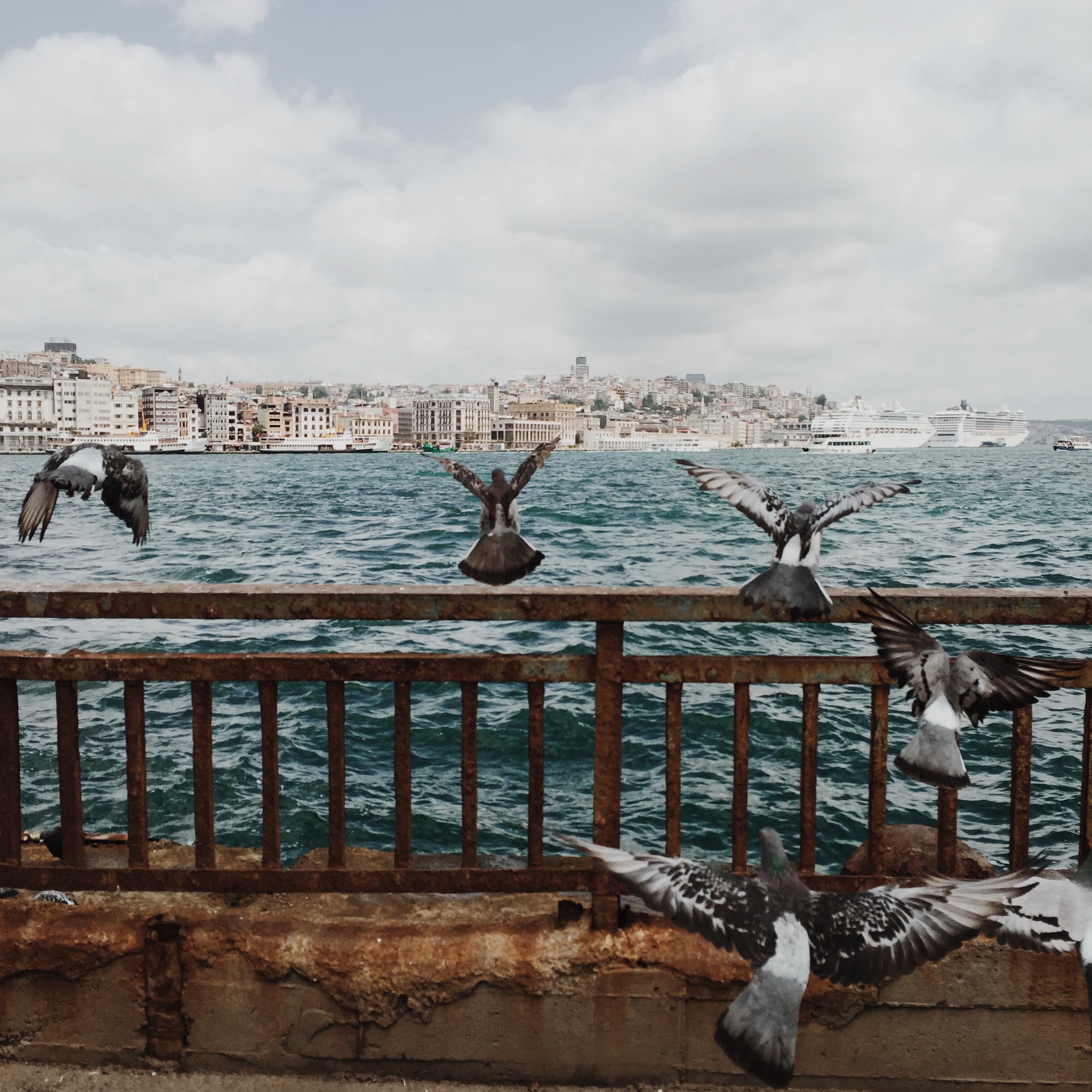 Processed with VSCOcam with m5 preset