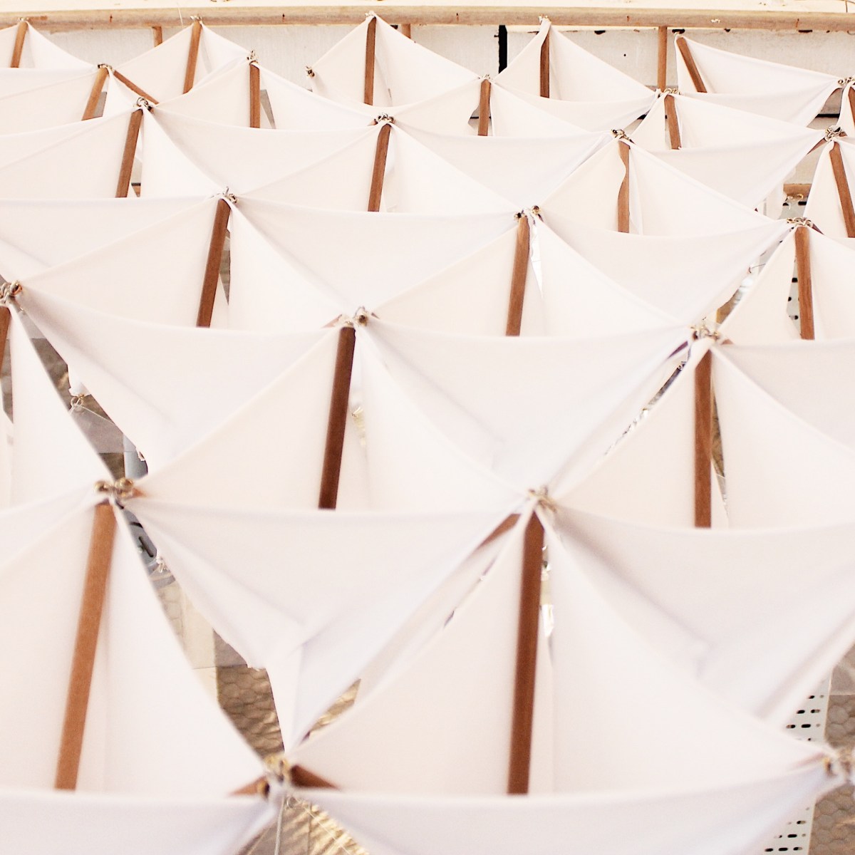 Tensegrity Wall/flower